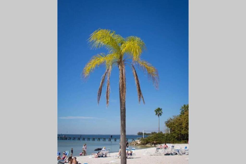 Manatee, Studio202, Beach Steps Away! Pool+Wifi Ruskin Esterno foto